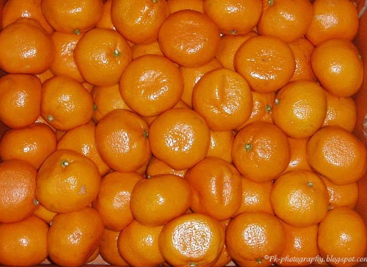 eating kinnu and oranges in winter