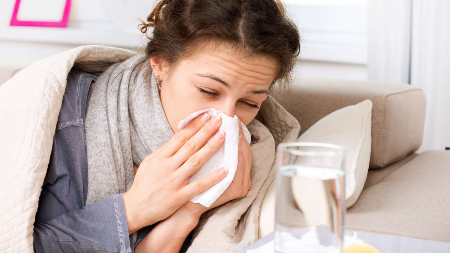 common cold and allergies