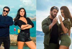 Tiger Zinda hai in controversy