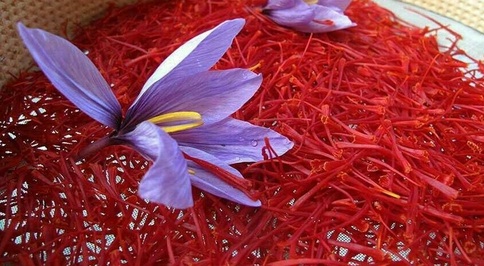 Saffron is also beneficial for recipes as well as health