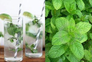 know how Peppermint Is Profitable For Your Health