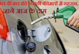 Break on falling Petrol and diesel prices, Know the current prices