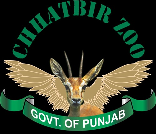 ਮੁੱਖ ਮੰਤਰੀ ਭਗਵੰਤ ਸਿੰਘ ਮਾਨ ਸਰਕਾਰ ਦੀ ਜੰਗਲੀ ਜੀਵ ਸੰਭਾਲ ਮੁਹਿੰਮ ਦੀ ਸਫਲਤਾ ਸਦਕਾ 8 ਮਹੀਨਿਆਂ ਵਿੱਚ 3.71 ਲੱਖ ਤੋਂ ਵੱਧ ਸੈਲਾਨੀ ਛੱਤਬੀੜ ਚਿੜੀਆਘਰ ਪਹੁੰਚੇ: ਲਾਲ ਚੰਦ ਕਟਾਰੂਚੱਕ
