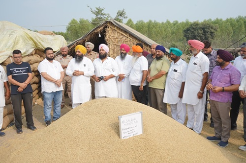 ਕਿਸਾਨਾਂ ਦੀ ਫ਼ਸਲ ਦਾ ਇੱਕ-ਇੱਕ ਦਾਣਾ ਖਰੀਦਣ ਲਈ ਮਾਨ ਸਰਕਾਰ ਵਚਨਬੱਧ: ਡਿਪਟੀ ਸਪੀਕਰ ਰੌੜੀ